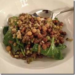 the mixed bean salad