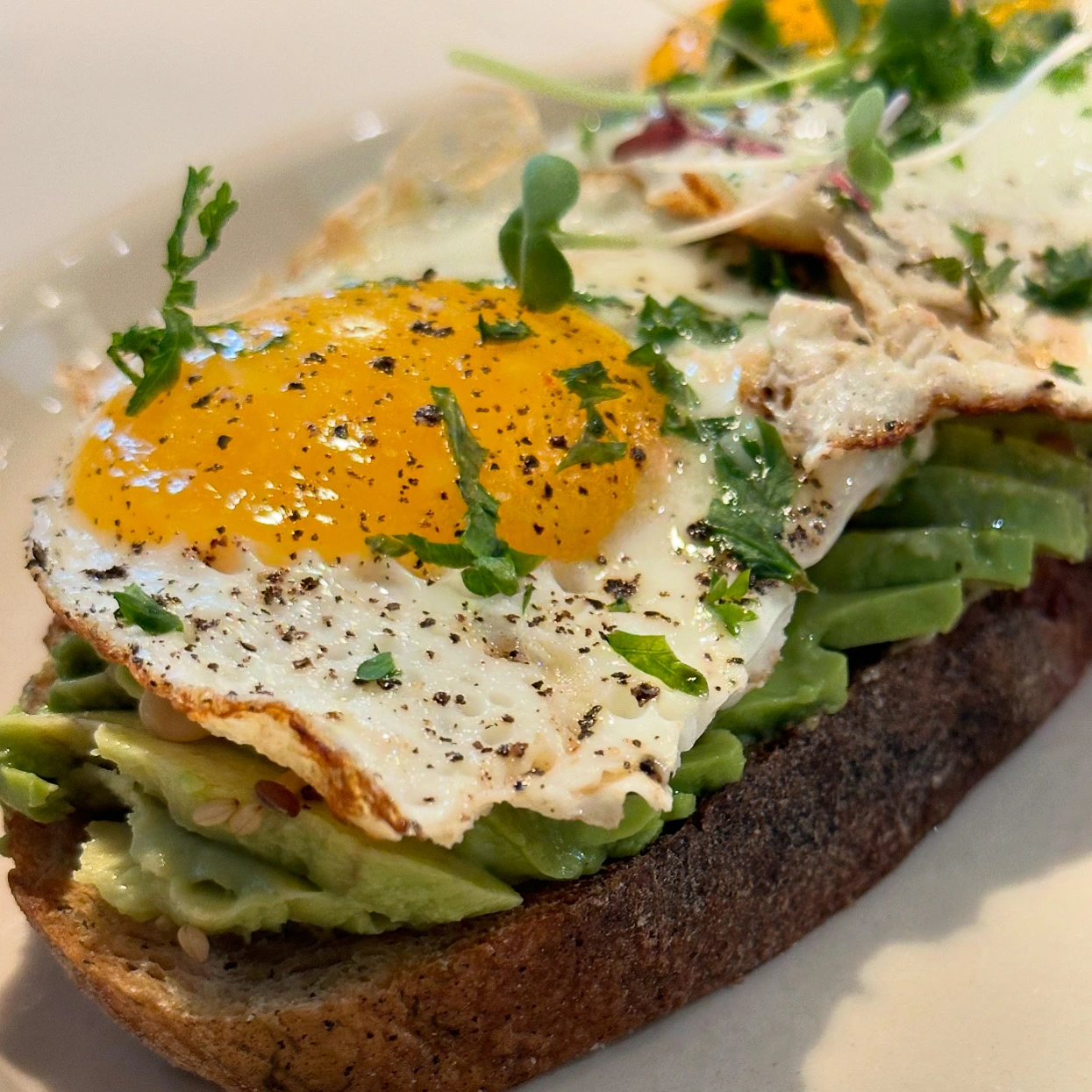 It doesn’t matter if it’s black or green. The avocado way of life.