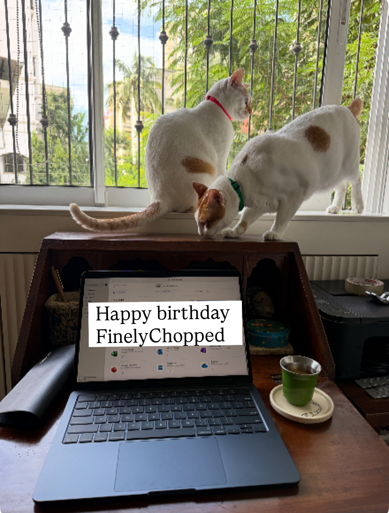 Happy 18th FinelyChopped. You will always be our baby.